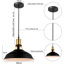 Carror 1 - Light Pendant-1643831990