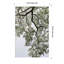 «Pleasantville Coastal Forest» par Shot par Clint Wood, reproduction d'art encadrée-1453798614-1453798615