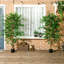 Ensemble de 2 ficus artificiels en pot-1996920193