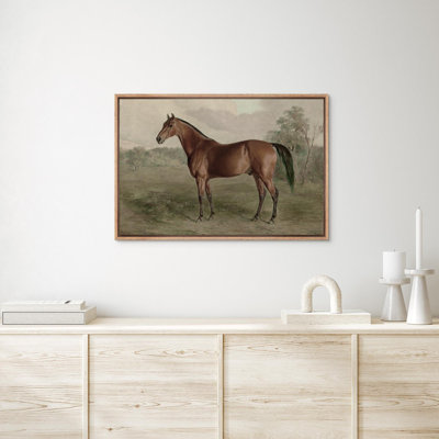 Brown Horse In The Field Animal Artwork Classic Living Room Decor Framed Canvas Print Wall Art