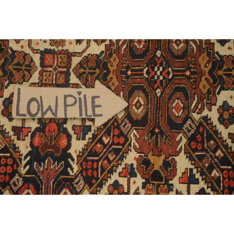 Tapis à teinture végétale antique pré-1900 3 x 4