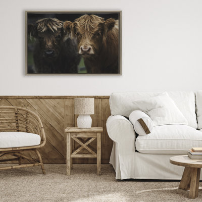 Cadre flottant Cow Face Highland pair, design par Amy Carroll