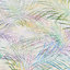 Frond