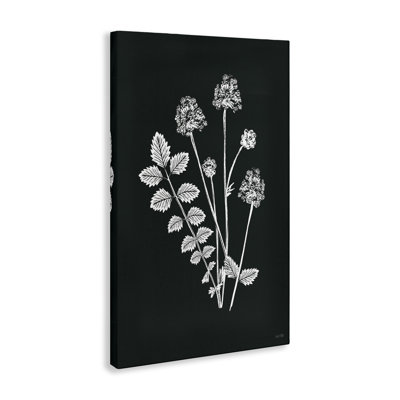Impression sur toile Herb Bunches Impression par House Fenway
