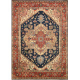 Oriental Area Rug in Navy