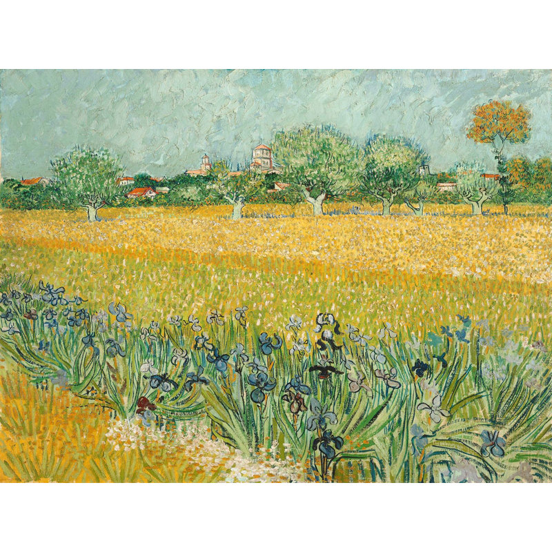 Field With Irises Near Arles by Vincent Van Gogh - Wrapped Canvas Print, 60cm H x 80cm W x 4cm D