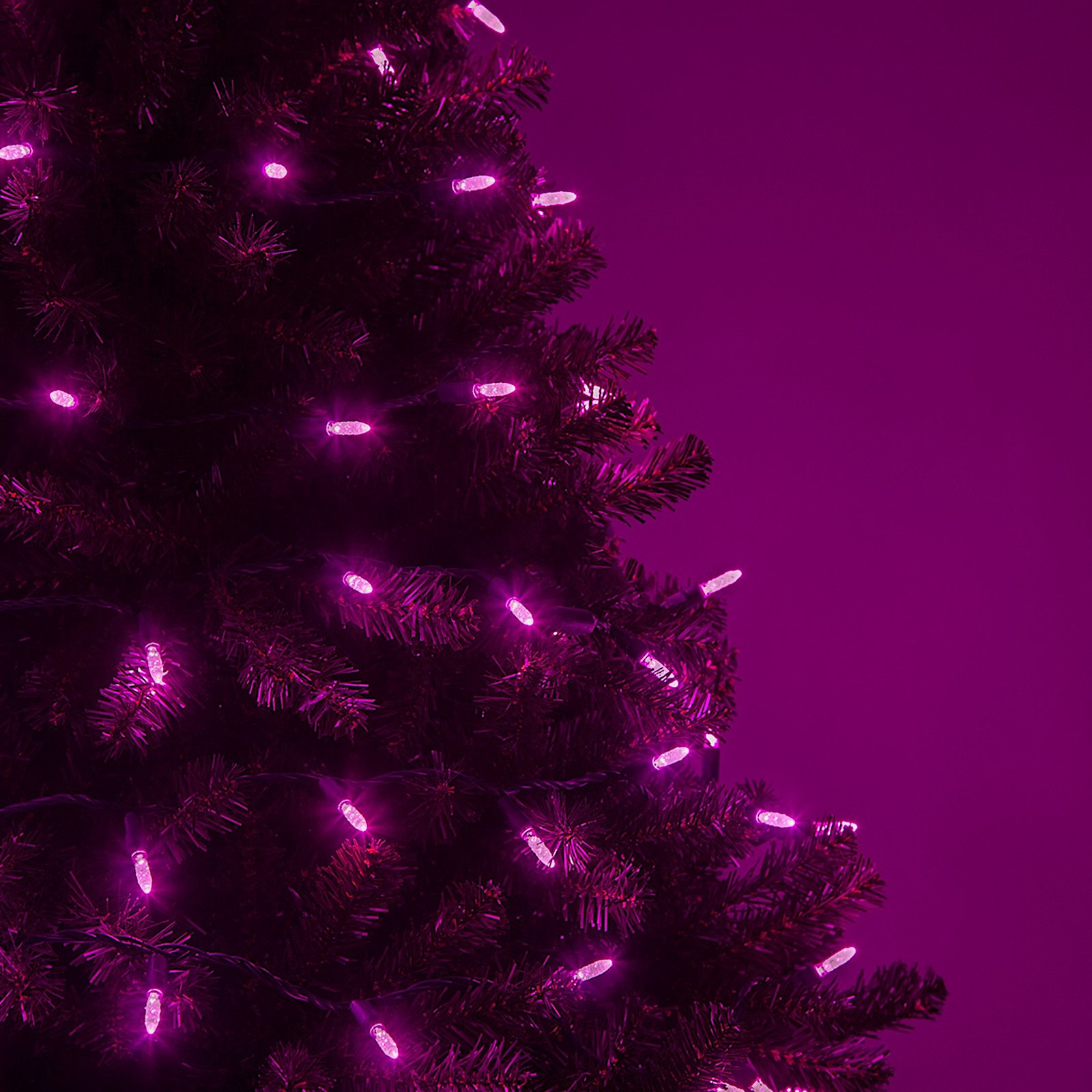 24' 70-Light LED Christmas String Lights, Pink