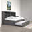 Hiam Kids Twin Daybed with Trundle