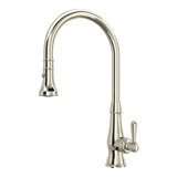 Patrizia™ Pull Down Single Handle Kitchen Faucet with Accessories