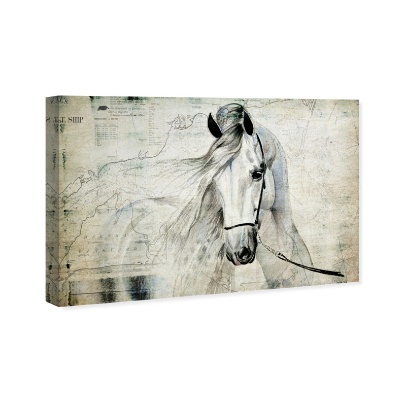 Antiqus Equus - Reproduction d'art graphique sur toile tendue, H 24 po x l 36 po, Toile tendue