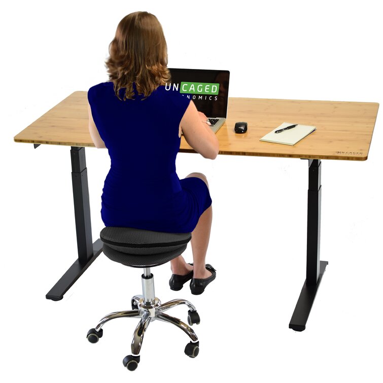 https://assets.wfcdn.com/im/55697817/resize-h755-w755%5Ecompr-r85/1151/115134728/Adjustable+Height+Ergonomic+Active+Stool+with+Footring+Wheels.jpg