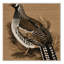  Tapis lavable épinette grouse-63937208