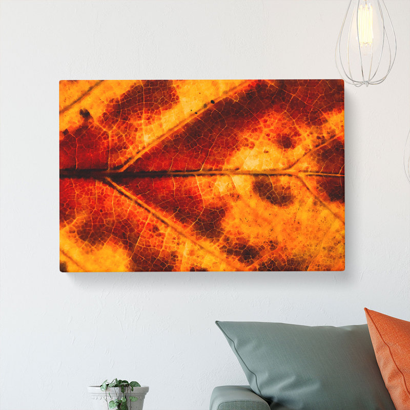 Leaf In The Autumn - Wrapped Canvas, 40cm H x 60cm W x 3cm D