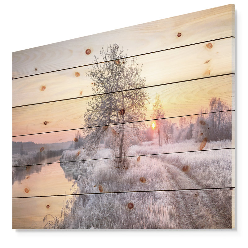 Photographie « winter multigivrey field », H 20 po x l 20 po x P 1 po, Bois