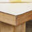Leschen Table Protector