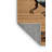 Machine Washable Dinosaurs Brown Area Rug-277149124