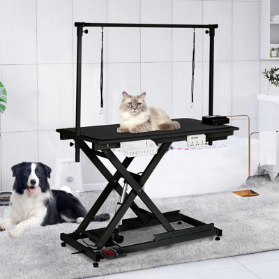 Electric Large Dog Grooming Table, 50" Adjustable Height with Power Outlets & Anti-Slip Top