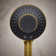 Spaviva Two-Function Handshower With All-In-One Cleansing Device 2.5 GPM