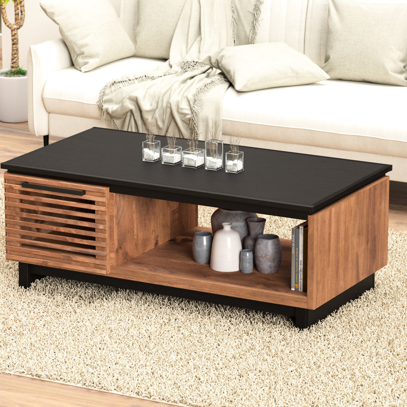 Table basse de 47 po Home. Sans assemblage. Finition deux tons. Peuplier et. Rectangulaire, deux portes, lattes. Meuble de décoration de salon contemporain scandinave noir Bourbon peuplier, portes