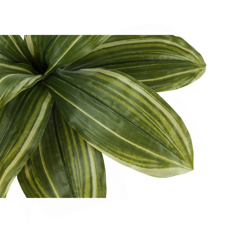 Fausse plante en polypropylène (PP) Maraca 17 po Marrero