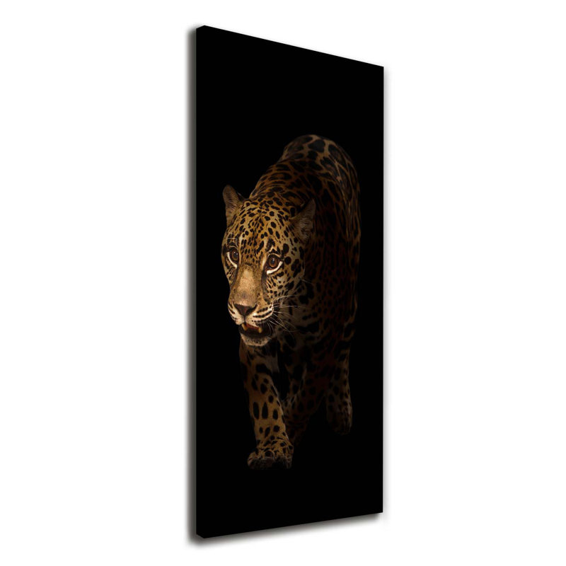 Jaguar - Wrapped Canvas Print