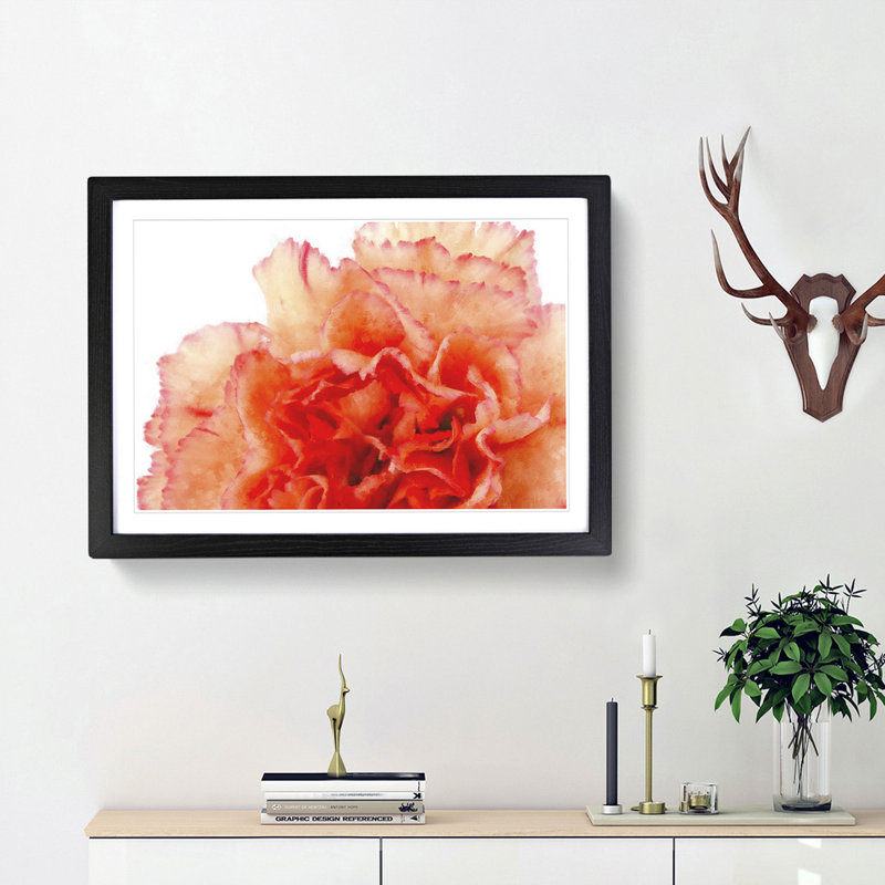 Orange Carnation Flower - Picture Frame Graphic Art Print, Black Framed, 62cm H x 87cm W x 2cm D