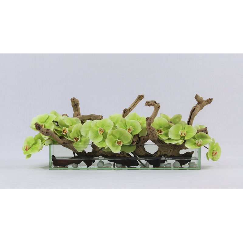 Silk Arrangement in Planter, 12" H x 24" W x 6" D, Green
