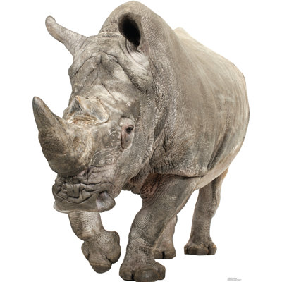 63'' Animals Cardboard Standup