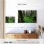 Alvord La Tigra Forest-111976722