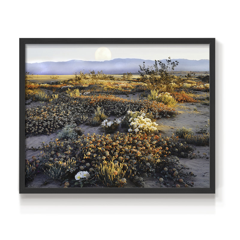 Anza Borrego - impression encadrée - réaménageable, H 11 po x l 14 po, Noir