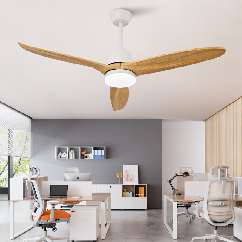 Ventilateurs de plafond avec lumières, Doré, 165 tr / min, Bois blanc