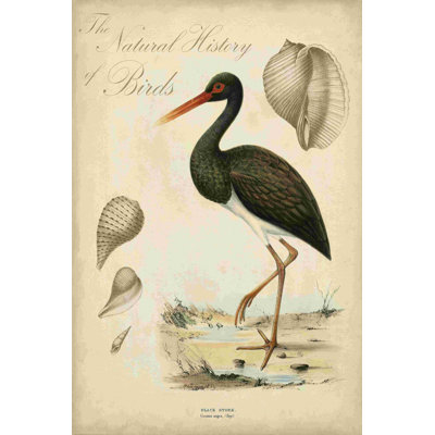Heron Anthology I