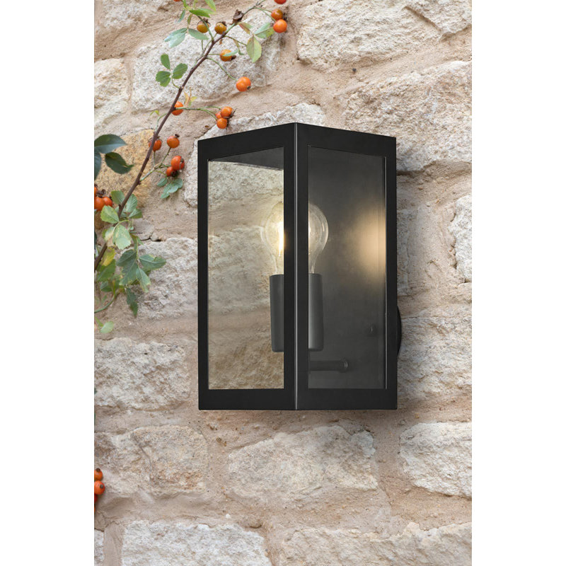 Jezebel 25cm H Outdoor Wall Lantern, Black