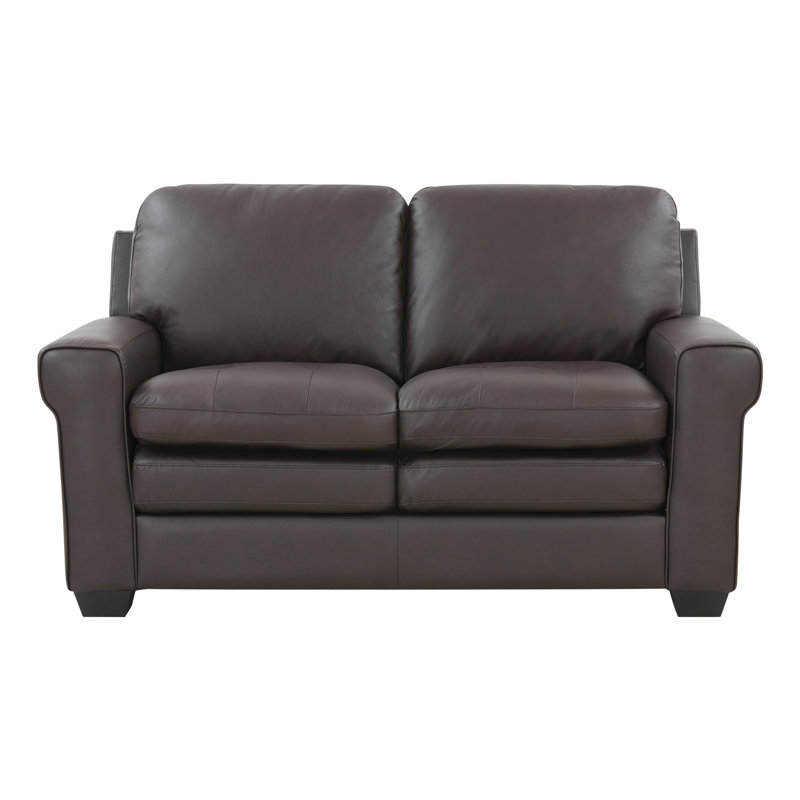 Arrietty 62'' Leather Loveseat