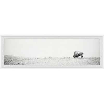 Wild Buffalo - Single Picture Frame Print