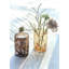 Jali Hurricane Candle Holder-1860967970