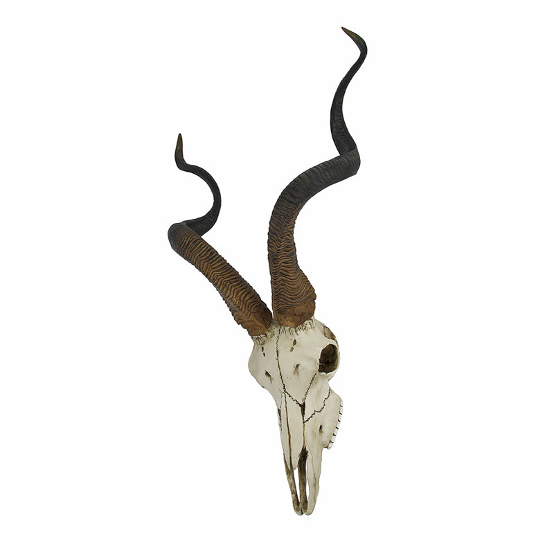 Décoration murale en forme de crâne d'antilope africain Kudu
