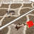 Kitchen rug-1423568612