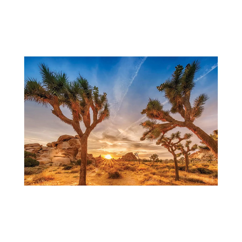 «Gorgeous Sunset At Joshua Tree National Park» par Melanie Viola - photographie sur toile tendue