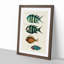 East Indies Fish Illustrations Fol. 33 by Louis Renard - Picture Frame Painting Print-55547386-55547387