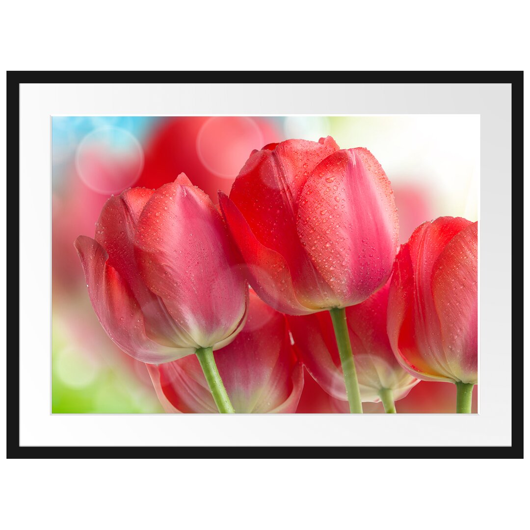 Gerahmtes Poster Rote Tulpen