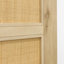 Alondria Oak with Rattan Barn Door-678590337