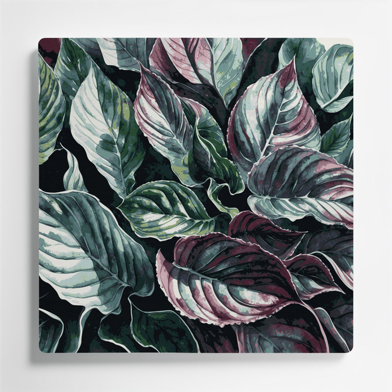 Botanique, bégonia Rex, art mural en métal noir, H 12 po x l 12 po