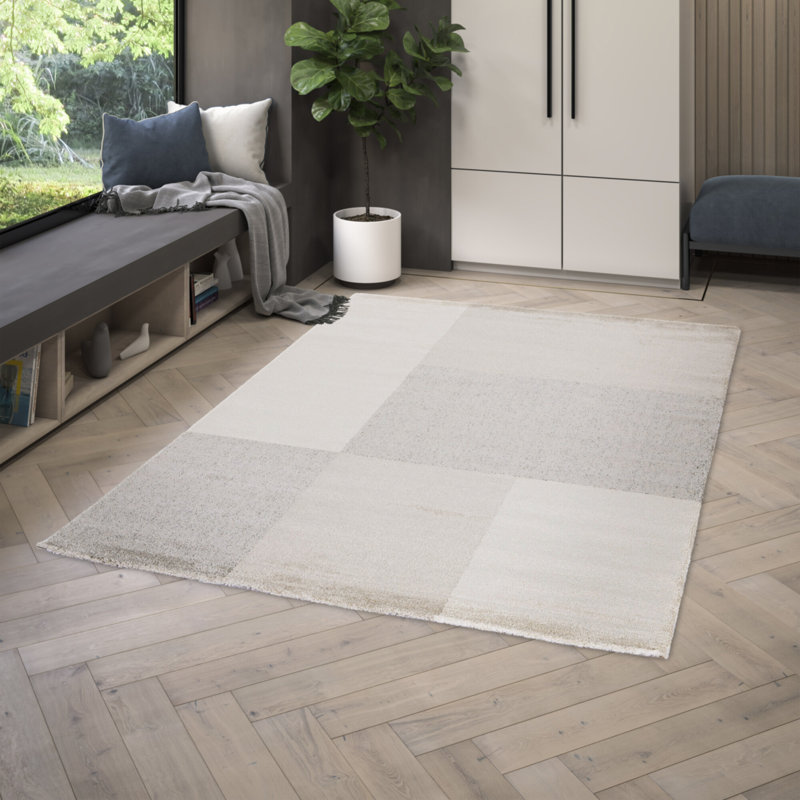Aileena Chequered Area Rug, Rectangle 200 x 290cm