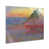 Plastic/Acrylic selected