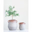 Terracotta Table Vase