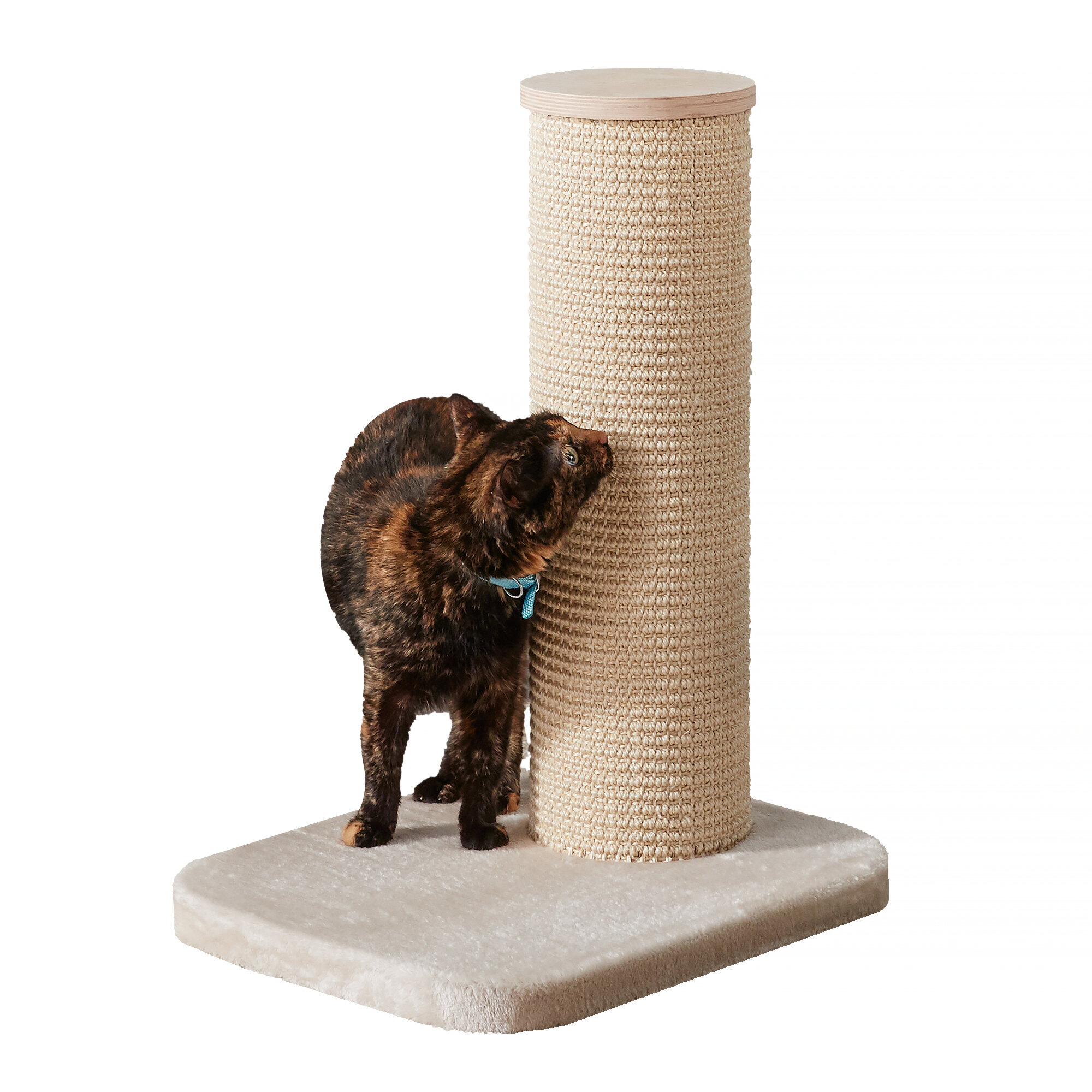 Deidre sales cat tree