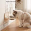 and Elevated Feeder
