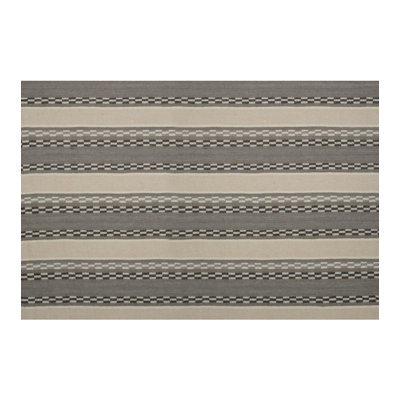 Telluride Laredo Fabric