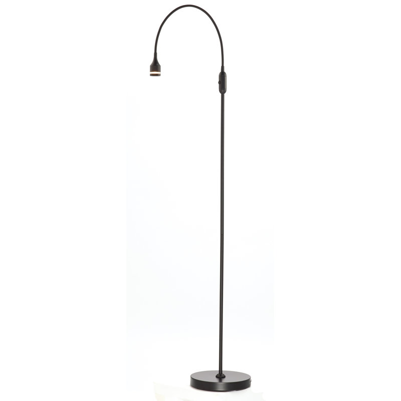Lampe sur pied arquée à DEL 56 po Winnie, Noir
